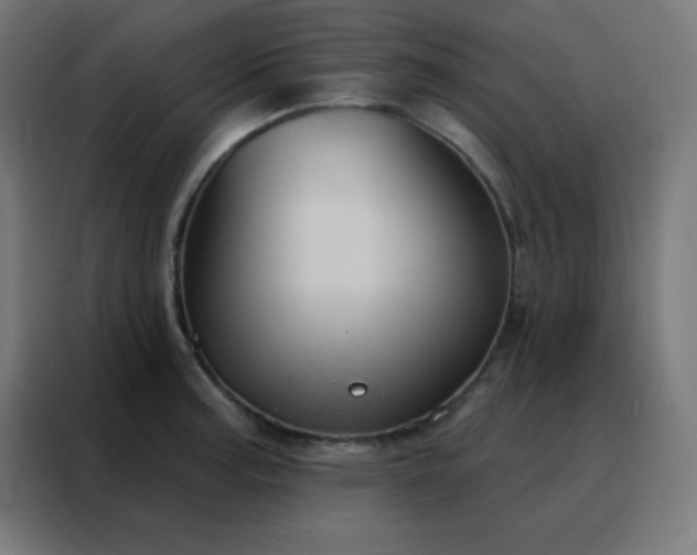 X0000088221187200705221757