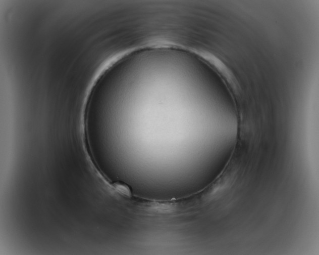 X0000088221191200705221757