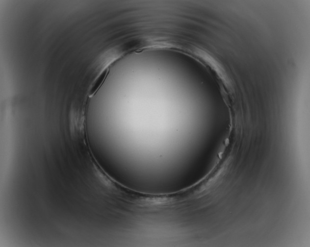 X0000088221193200705221757