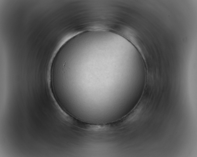 X0000088221195200705221757