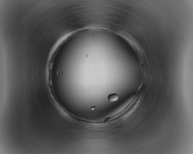 X0000088221196200705221757