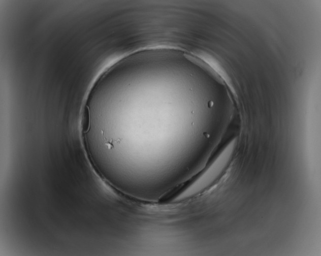 X0000088221197200705221757