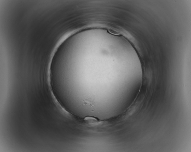 X0000088221199200705221757