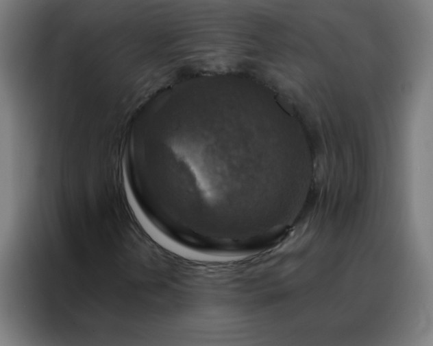 X0000088221202200705221757