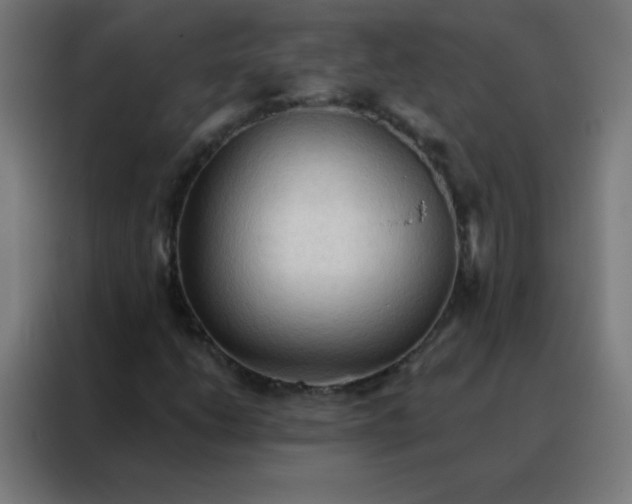 X0000088221206200705221757