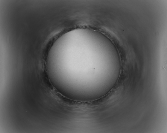 X0000088221207200705221757