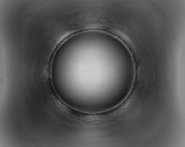 X0000088221212200705221757