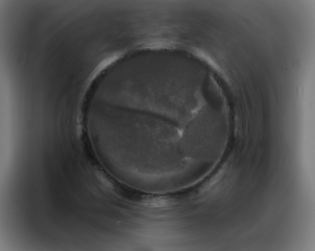 X0000088221213200705221757