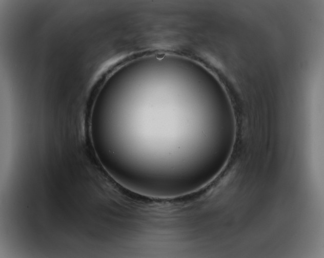 X0000088221214200705221757