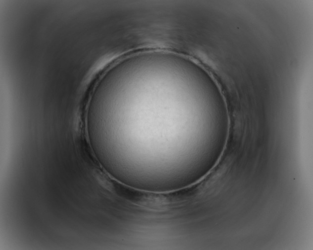 X0000088221215200705221757