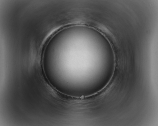 X0000088221216200705221757