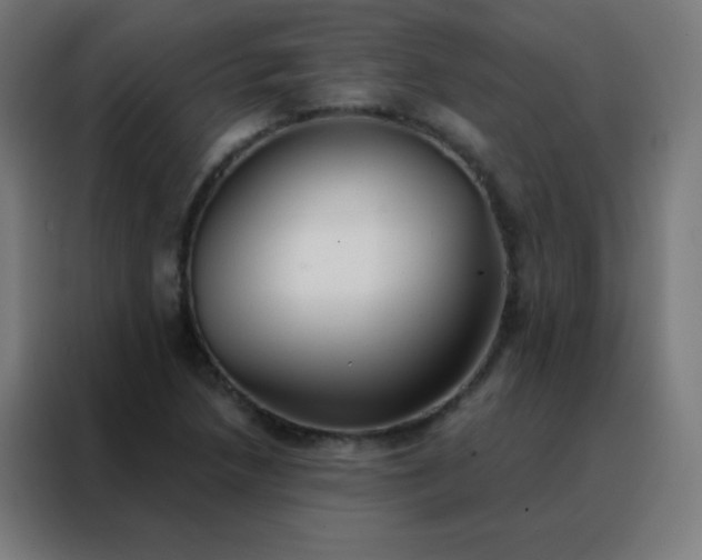 X0000088221218200705221757