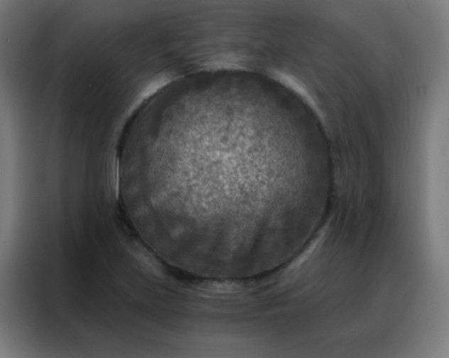 X0000088221219200705221757