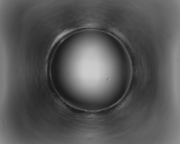 X0000088221222200705221757