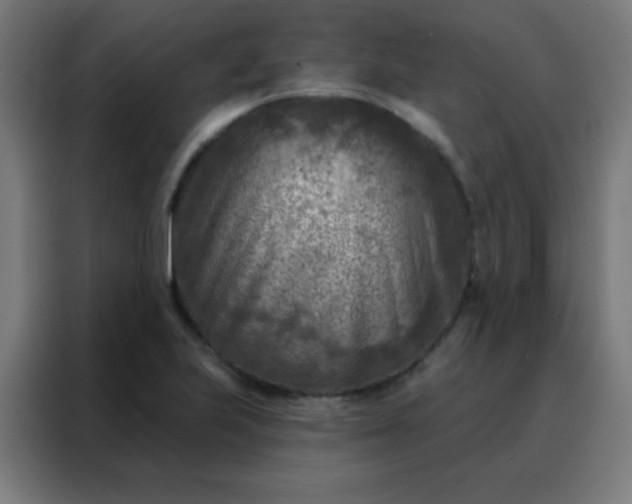 X0000088221223200705221757