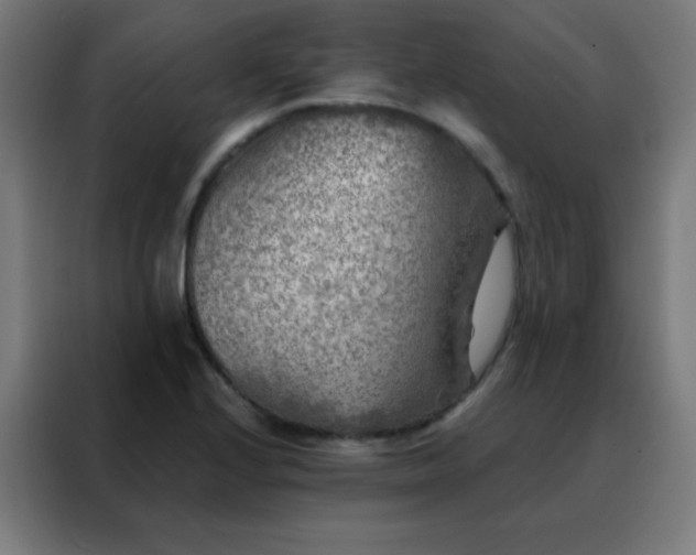 X0000088221224200705221757