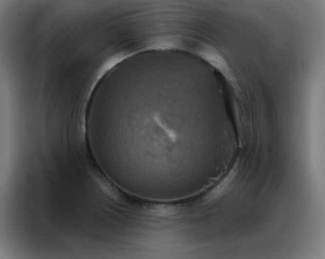 X0000088221226200705221757