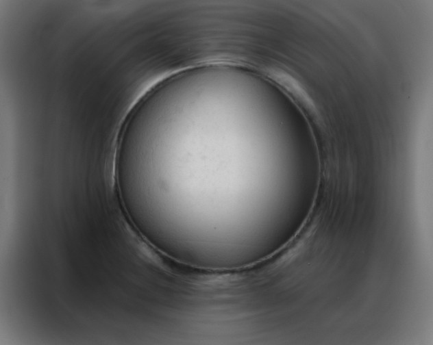 X0000088221228200705221757