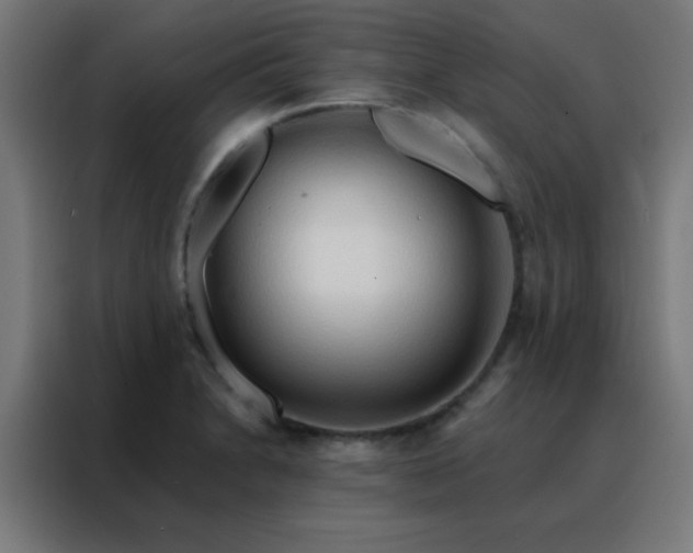 X0000088221230200705221757