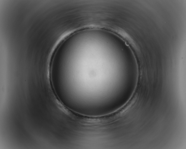 X0000088221232200705221757