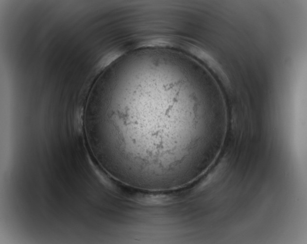 X0000088221233200705221757