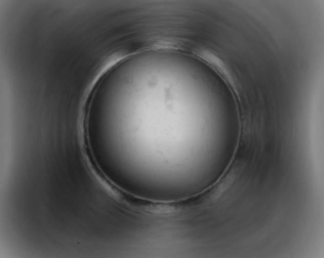 X0000088221235200705221757