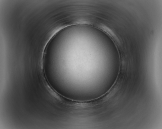 X0000088221236200705221757