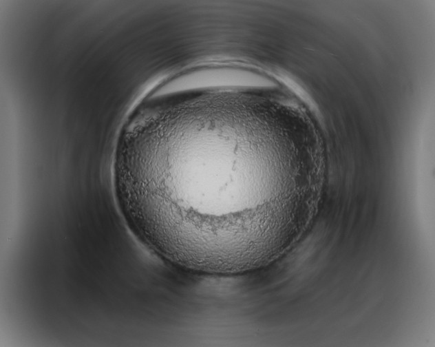 X0000088221237200705221757