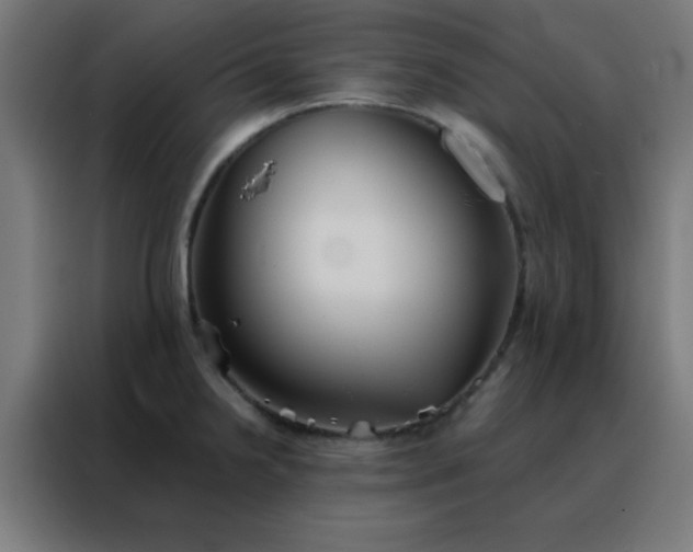 X0000088221238200705221757