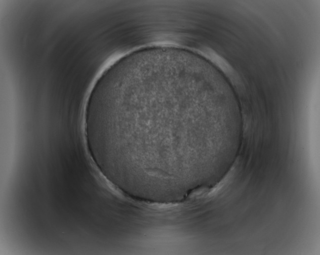 X0000088221240200705221757