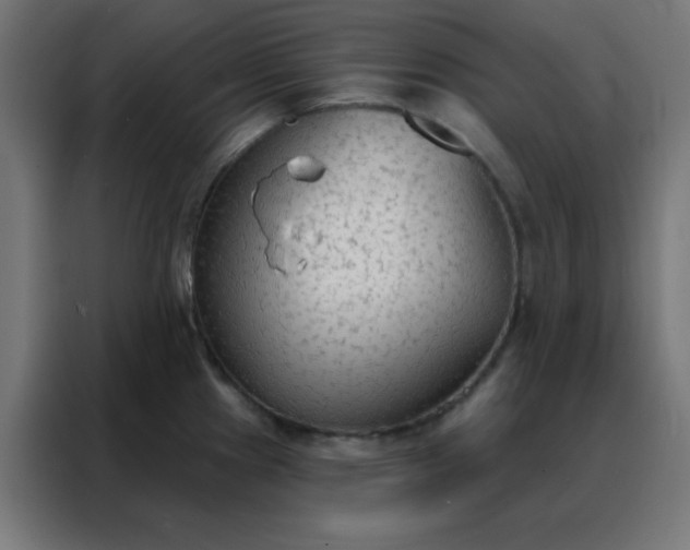 X0000088221241200705221757