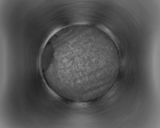 X0000088221243200705221757