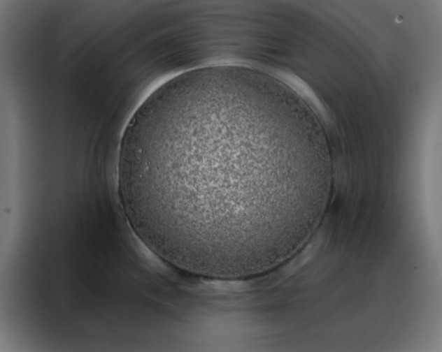 X0000088221244200705221757