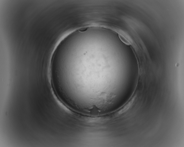 X0000088221247200705221757