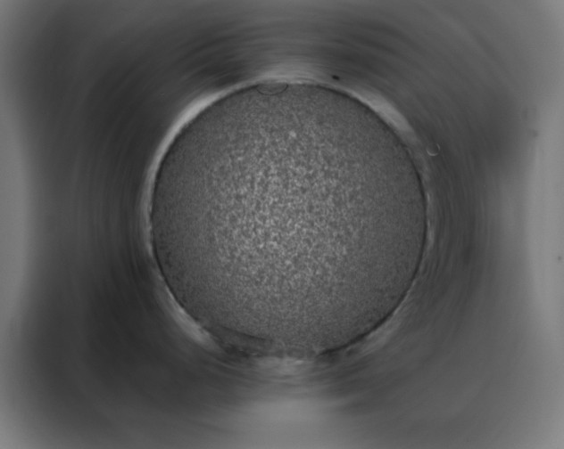 X0000088221248200705221757