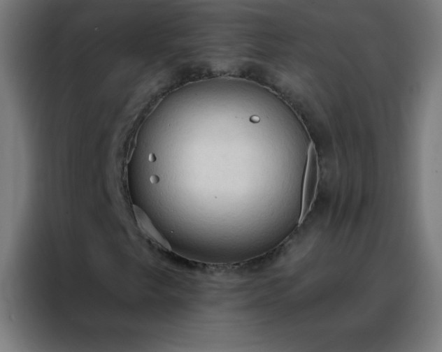 X0000088221249200705221756