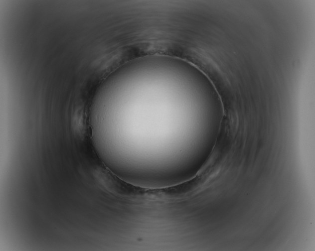 X0000088221250200705221756