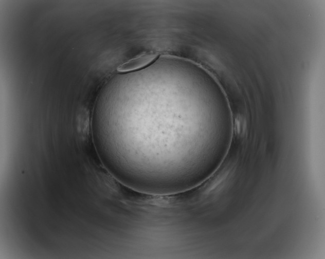 X0000088221251200705221756