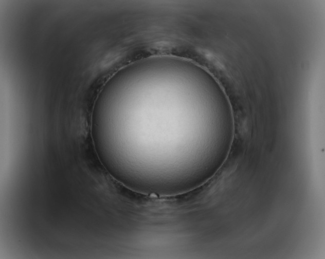 X0000088221253200705221756