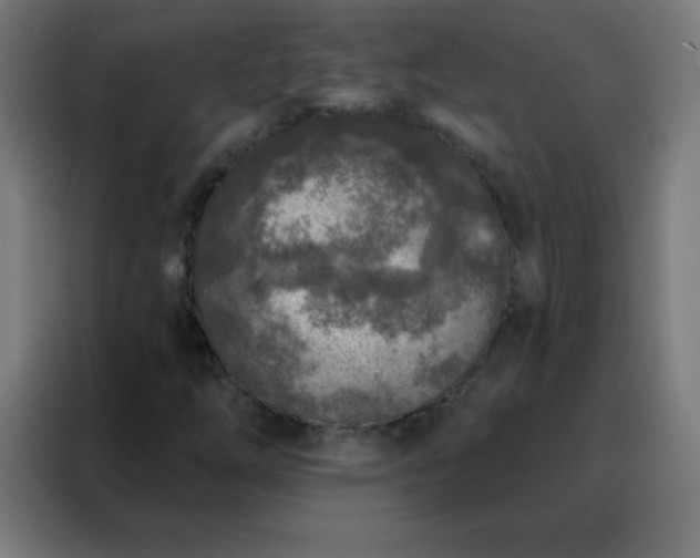 X0000088221254200705221756