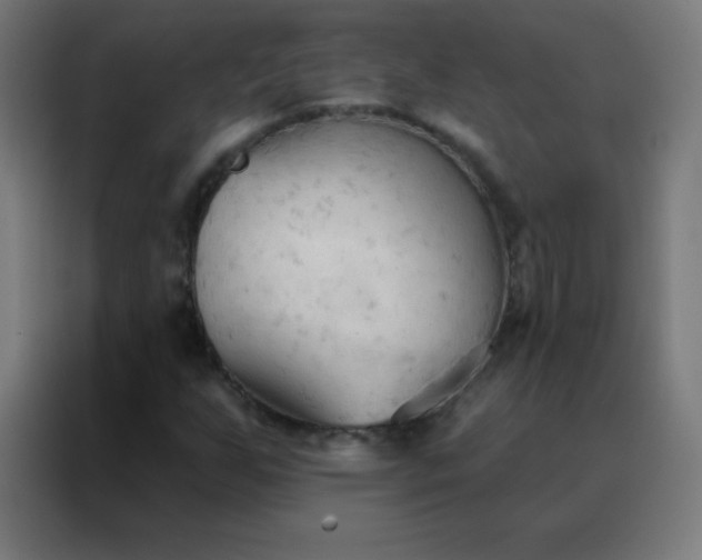 X0000088221255200705221756