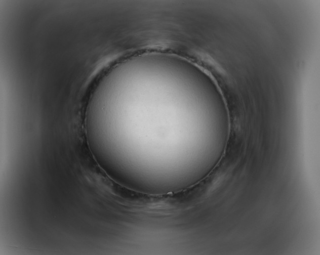 X0000088221256200705221756