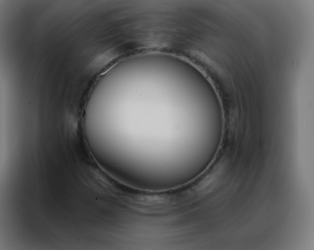 X0000088221257200705221756