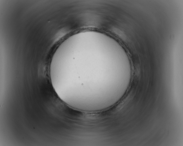 X0000088221258200705221756