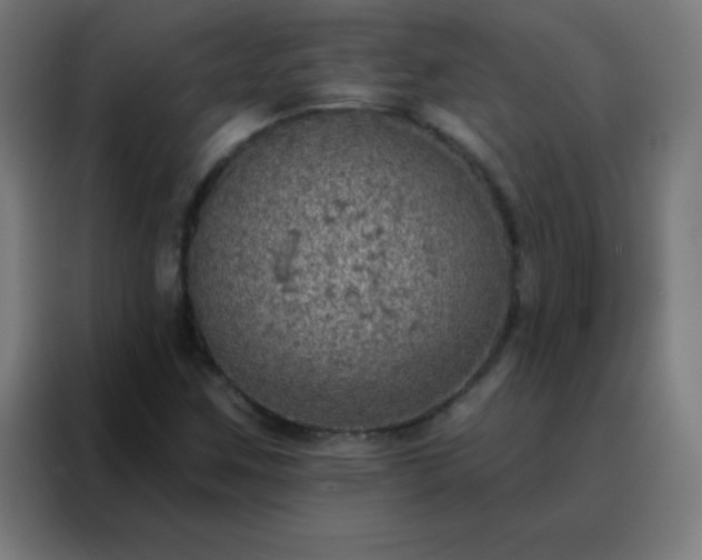 X0000088221259200705221756