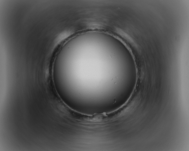 X0000088221261200705221756