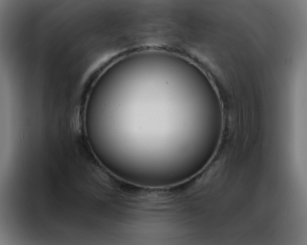 X0000088221262200705221756