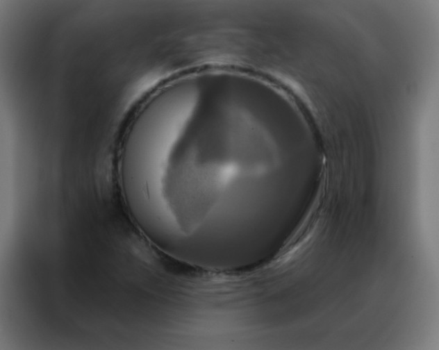 X0000088221263200705221756