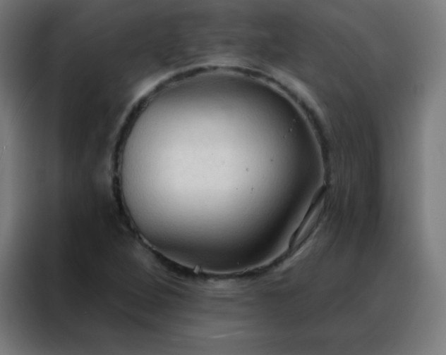 X0000088221264200705221756