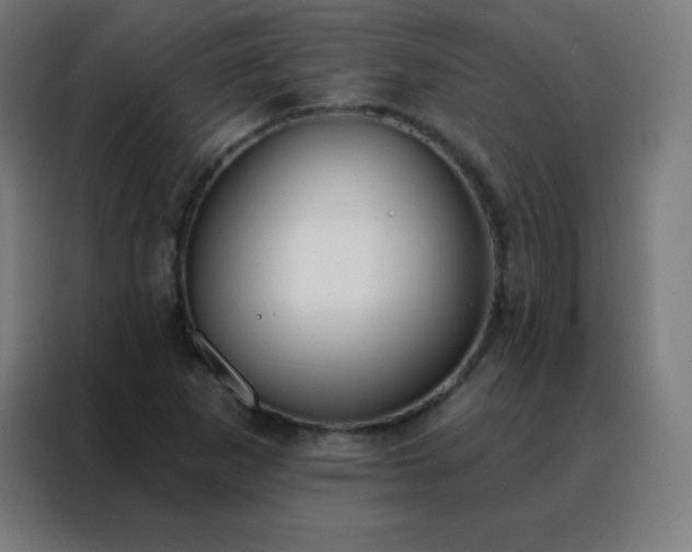 X0000088221265200705221756